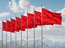Red_Flags_3_JPG_-_250_x_185.jpg