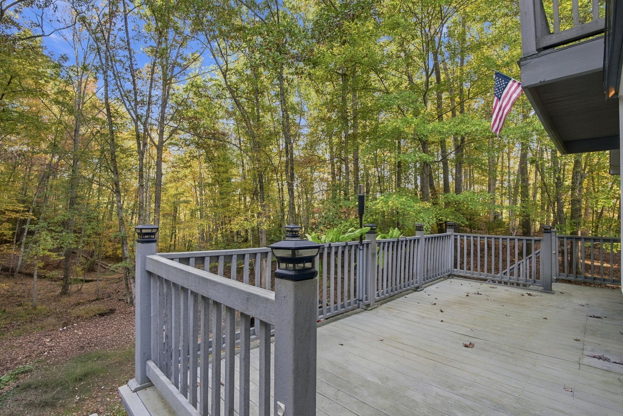 Actual un-staged wood deck with wooded view