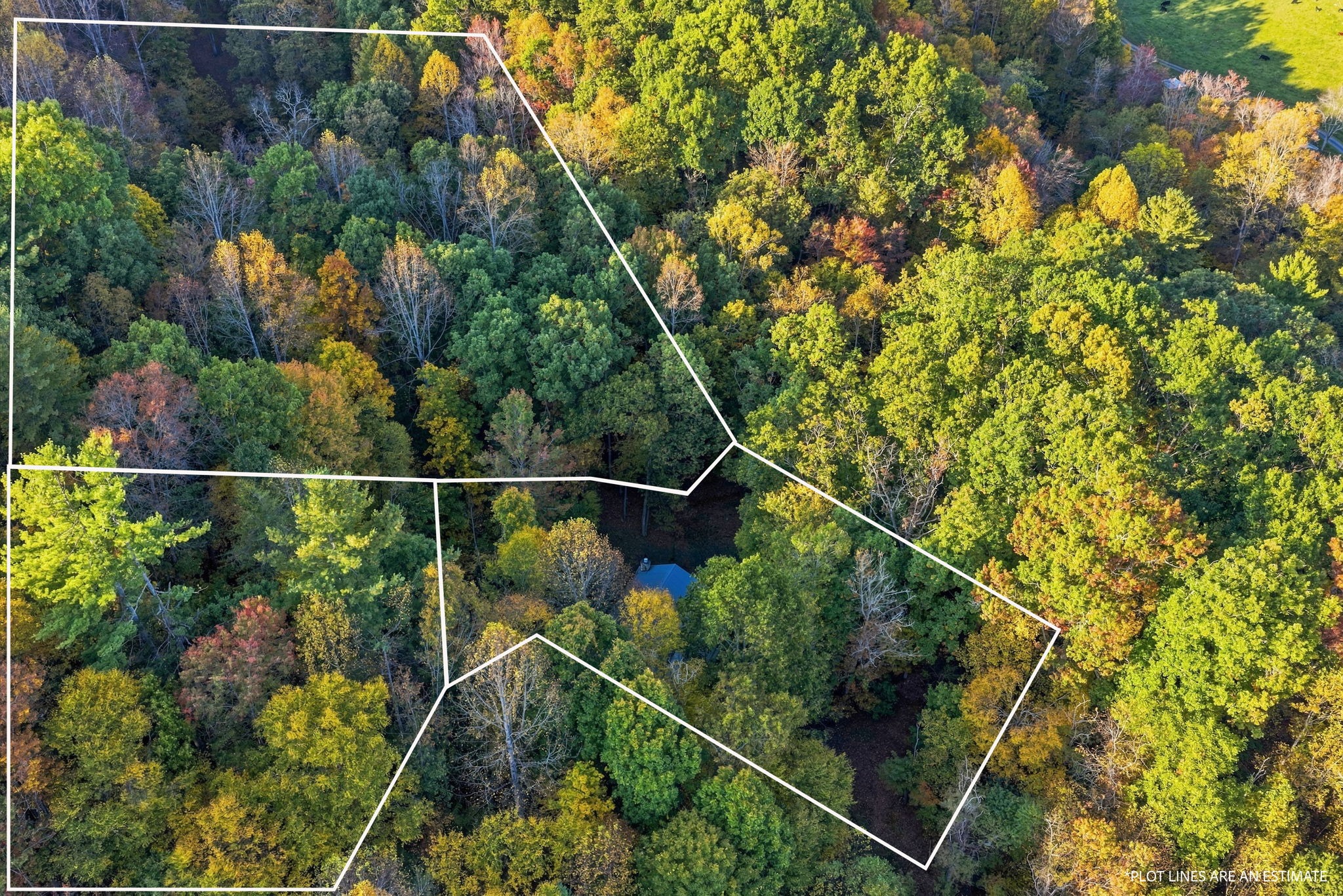 Overhead aerial of 271 Quail Hollow Road and surrounding woods with approximate property boundaries drawn around three parcels