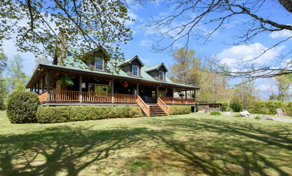 log cabin under trees