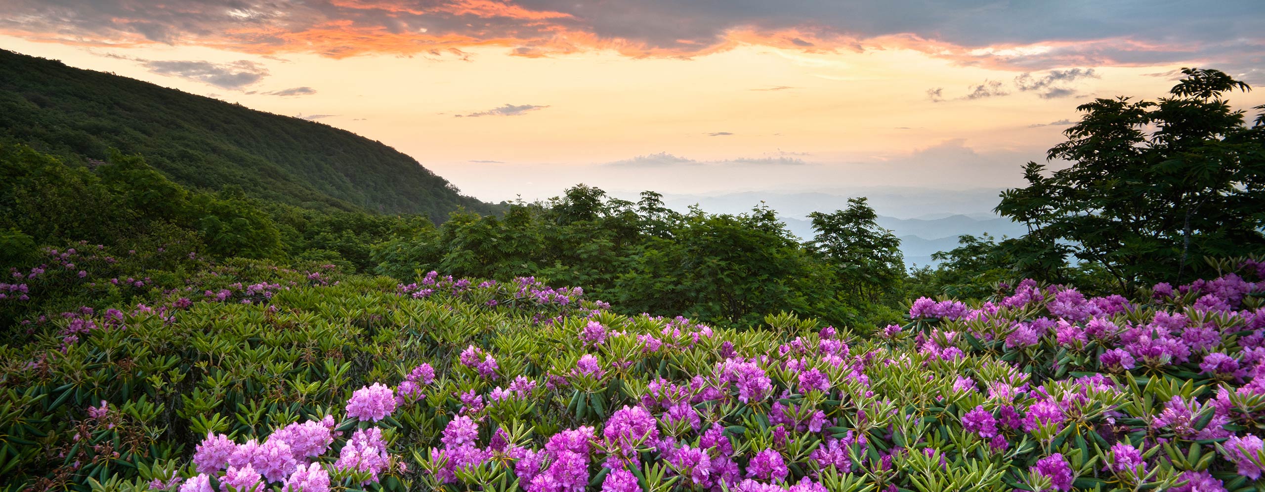 Scenic landscape in the Boone, North Carolina area