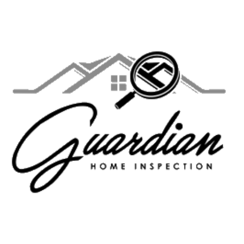 Inspector 3