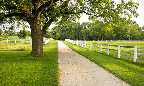 Properties with over 1 Acre for Sale
