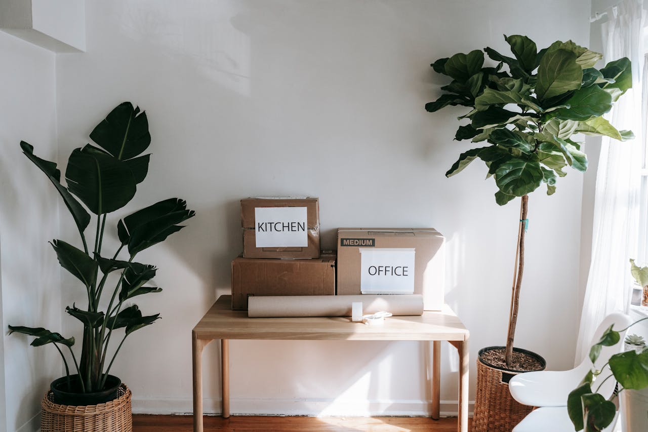 A wooden desk with cardboard boxes and plants on both sides of the desk.