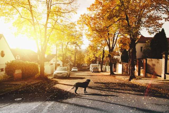Choosing the right neighborhood and location is key to matching your home purchase with your long-term goals.