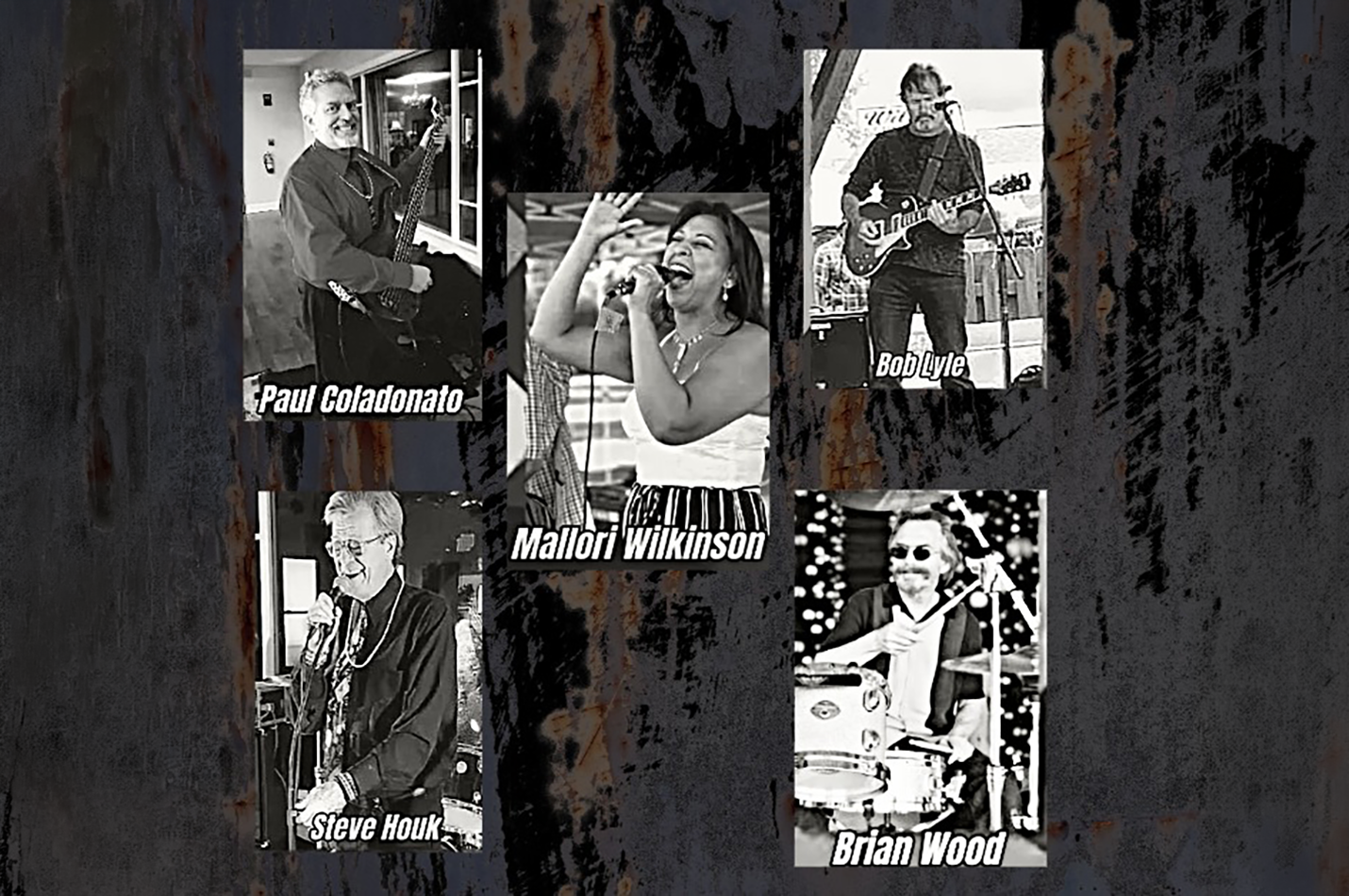 Live Music The Rainmakers