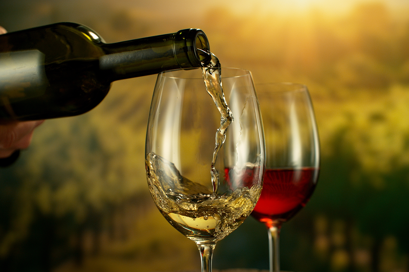 Wine Library Tasting Gray Ghost Vineyards