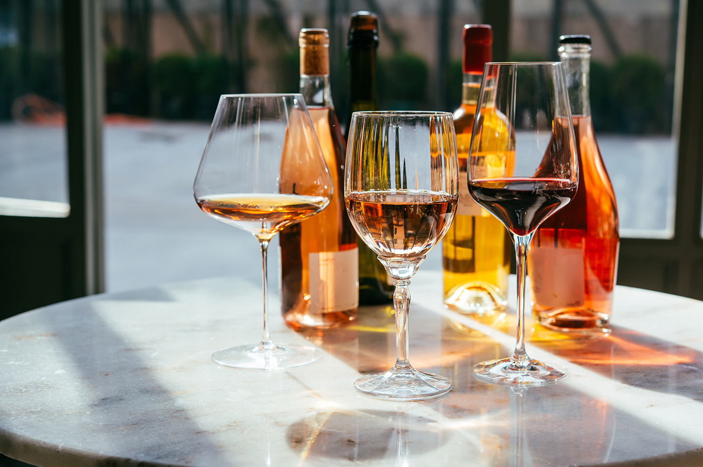 Winemaker For a Day Narmada Winery