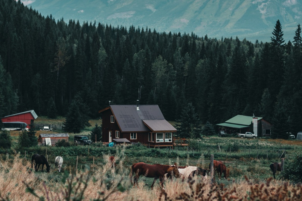 Hunting & Recreation