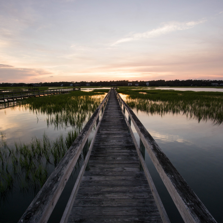 PAWLEYS ISLAND