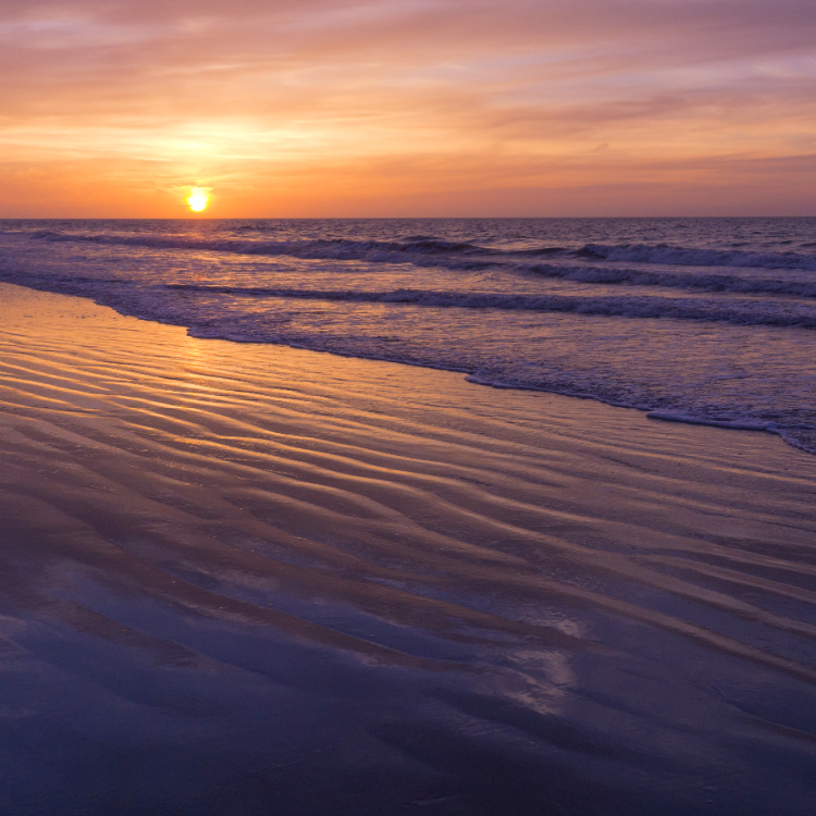 NORTH MYRTLE BEACH