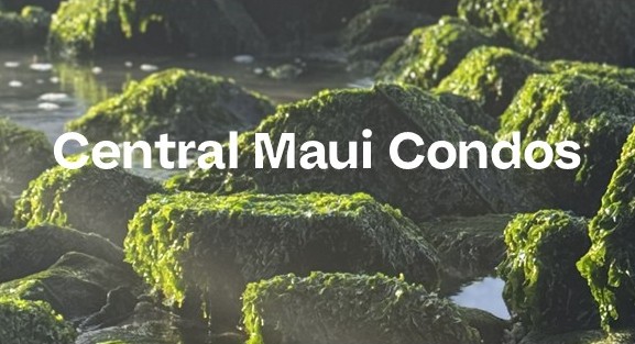 Central Maui Condos