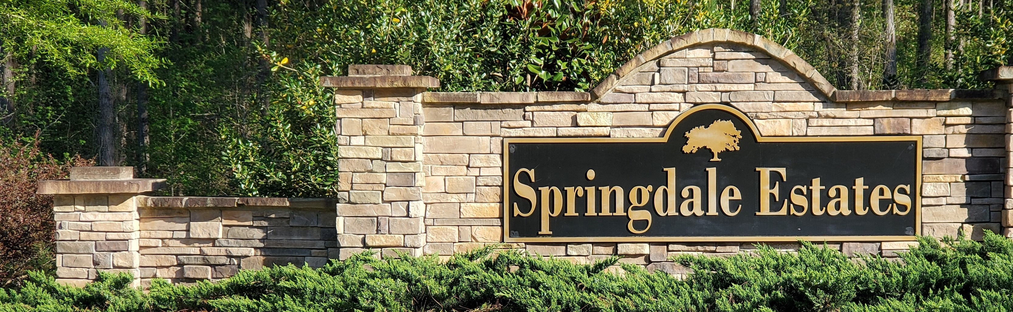 Springdale Estates Homes Senoia, GA