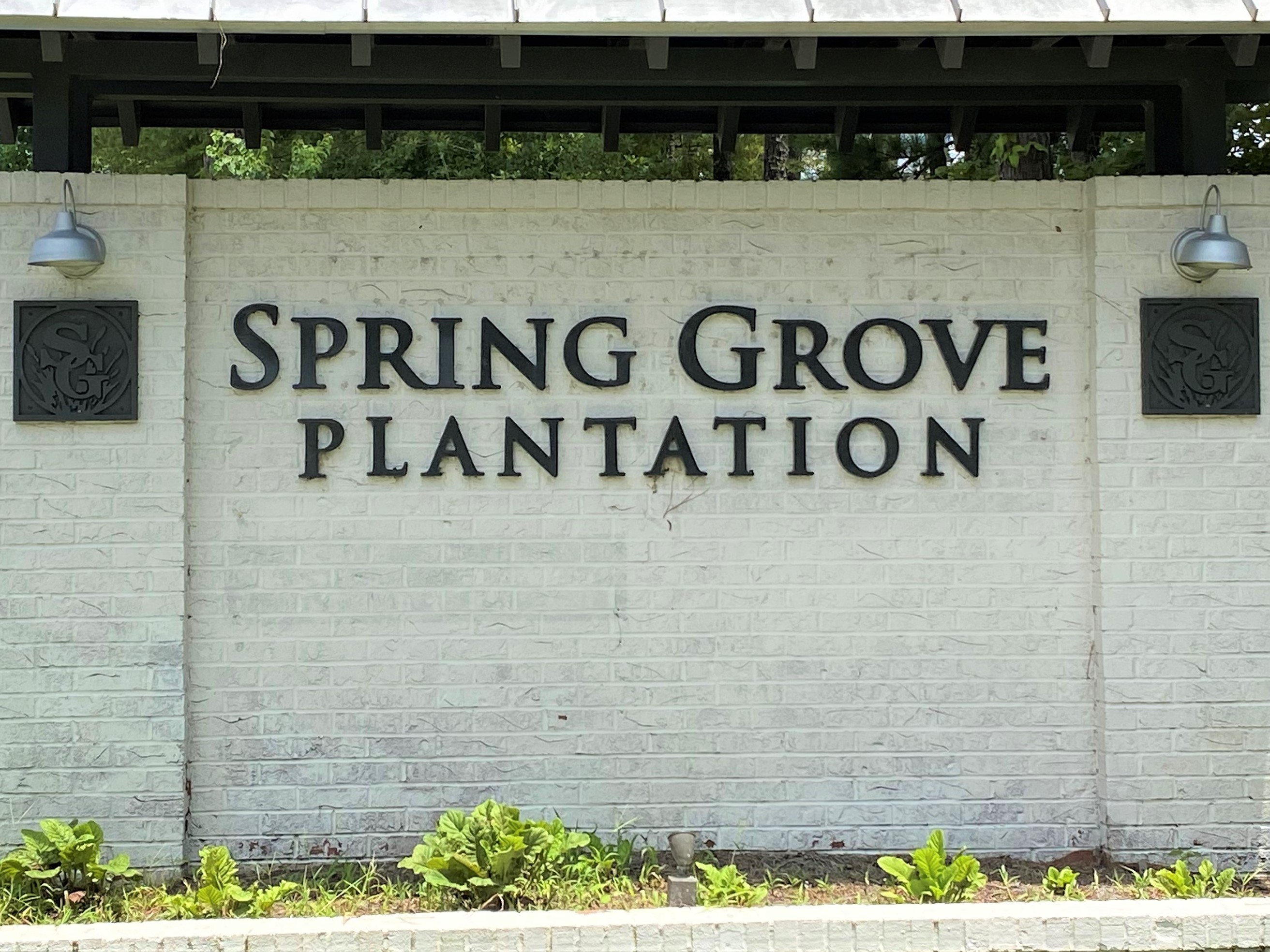 Spring Grove Plantation Homes for Sale