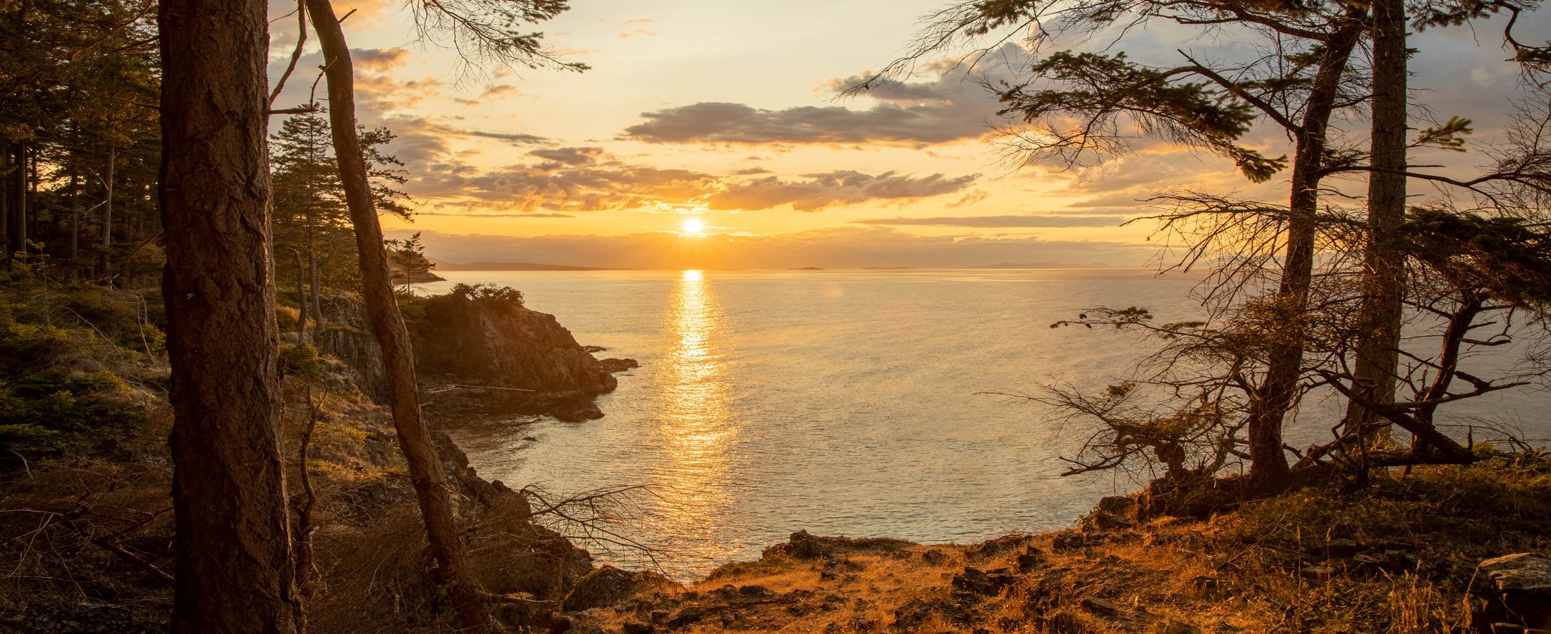 Hammond Bay Real Estate Hammond Bay Homes for Sale