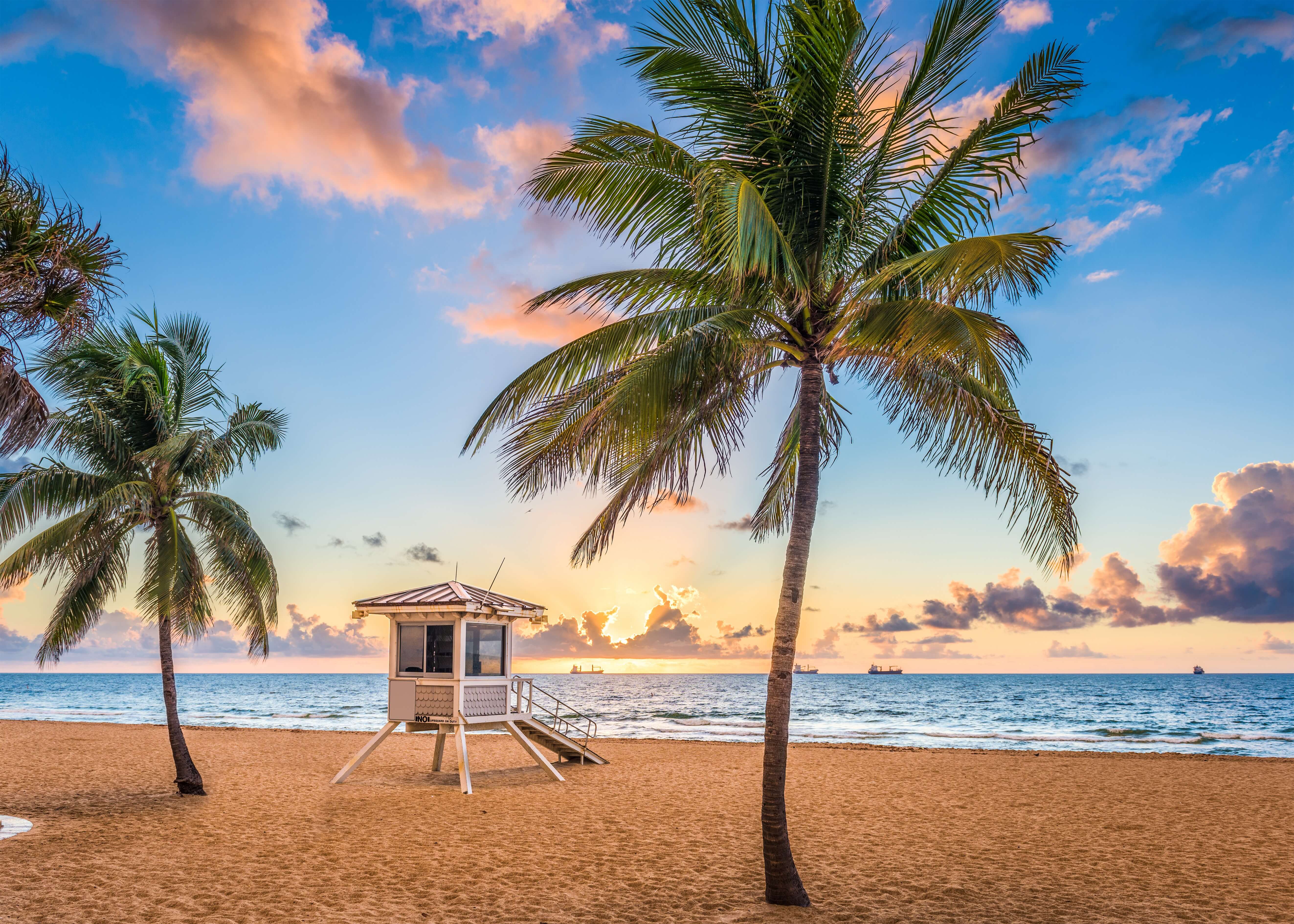 Miami Dade County Florida Property Search - rghenvf