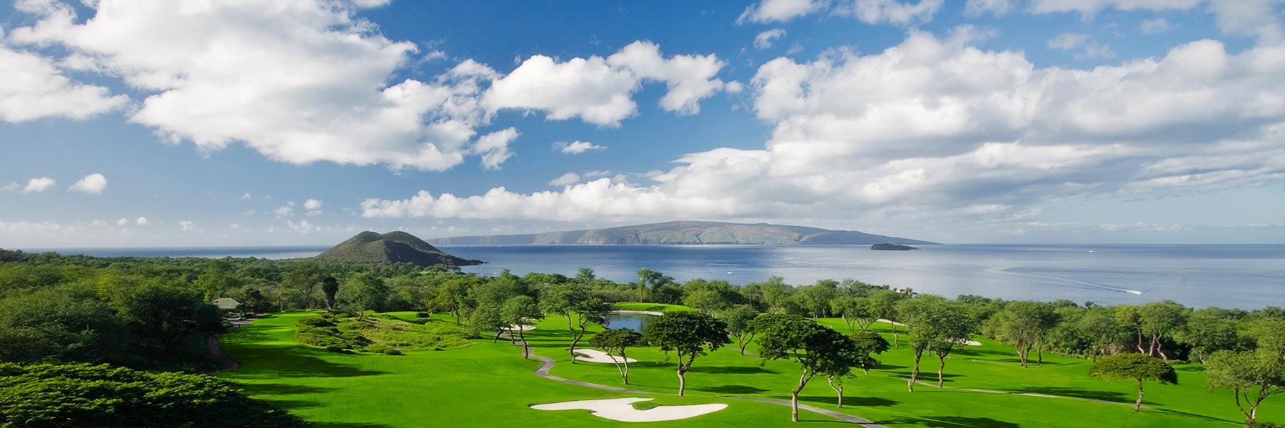 Wailea homes for sale