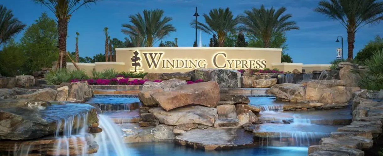 Winding Cypress