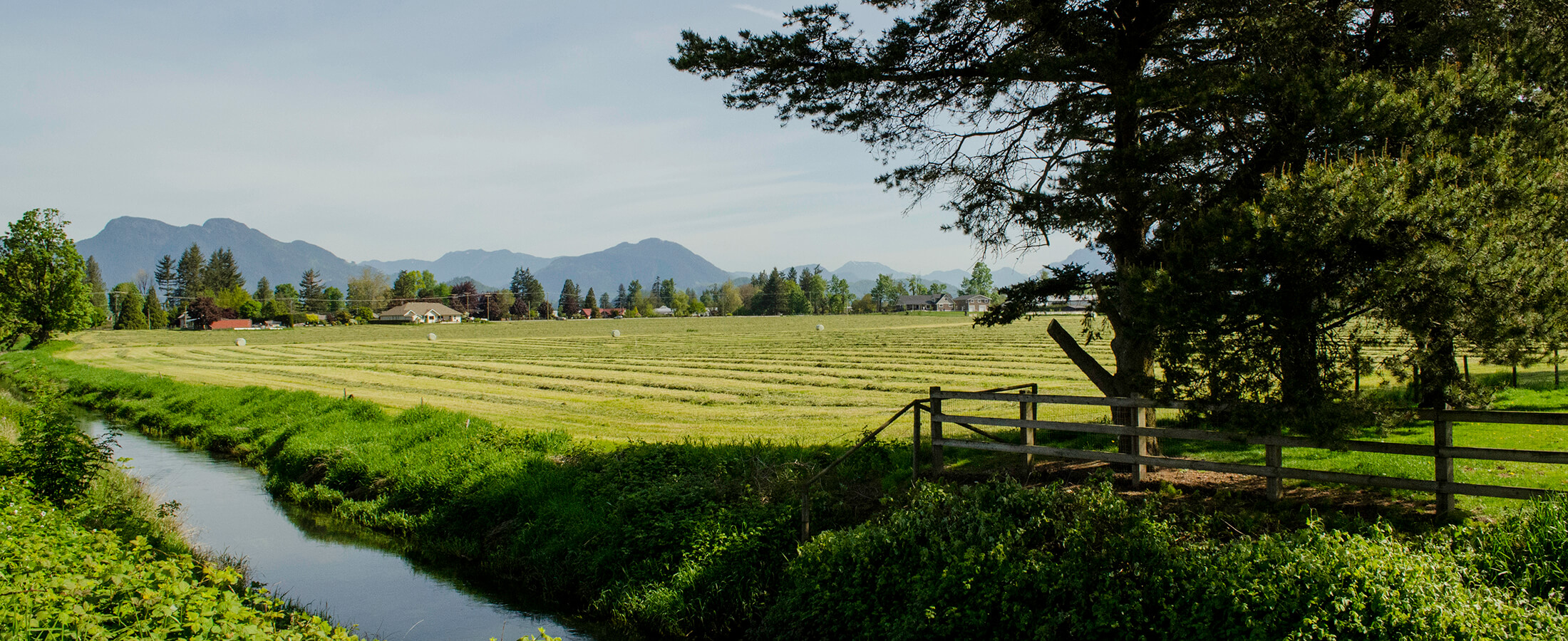 East Chilliwack real estate