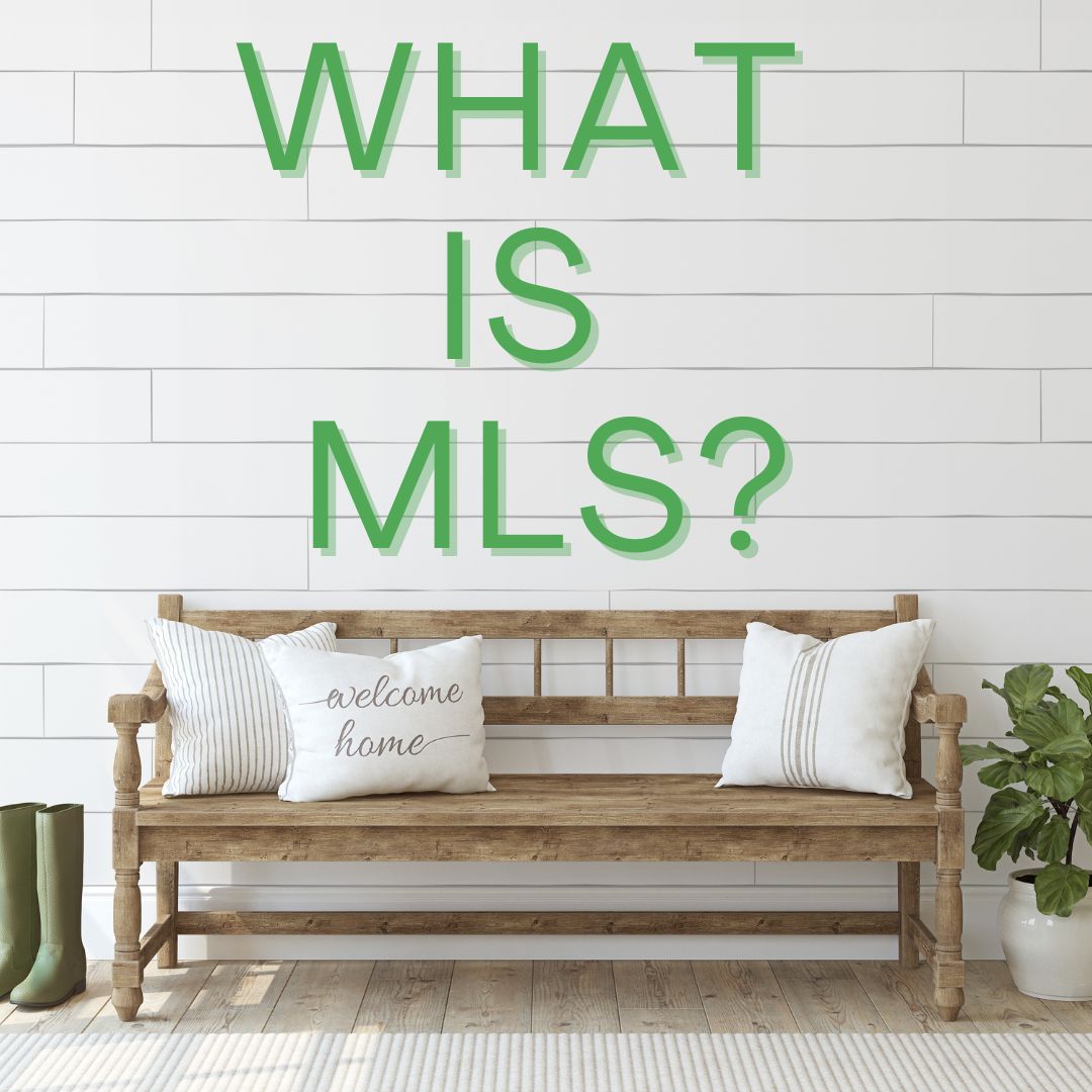 What is MLS_Laurel Jonas Blog