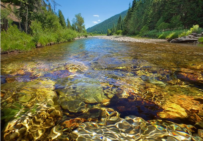 North Fork CDA River real estate