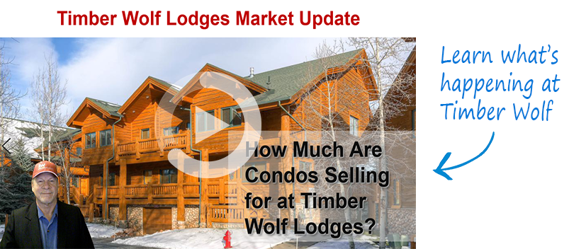 timber wolf lodges market report