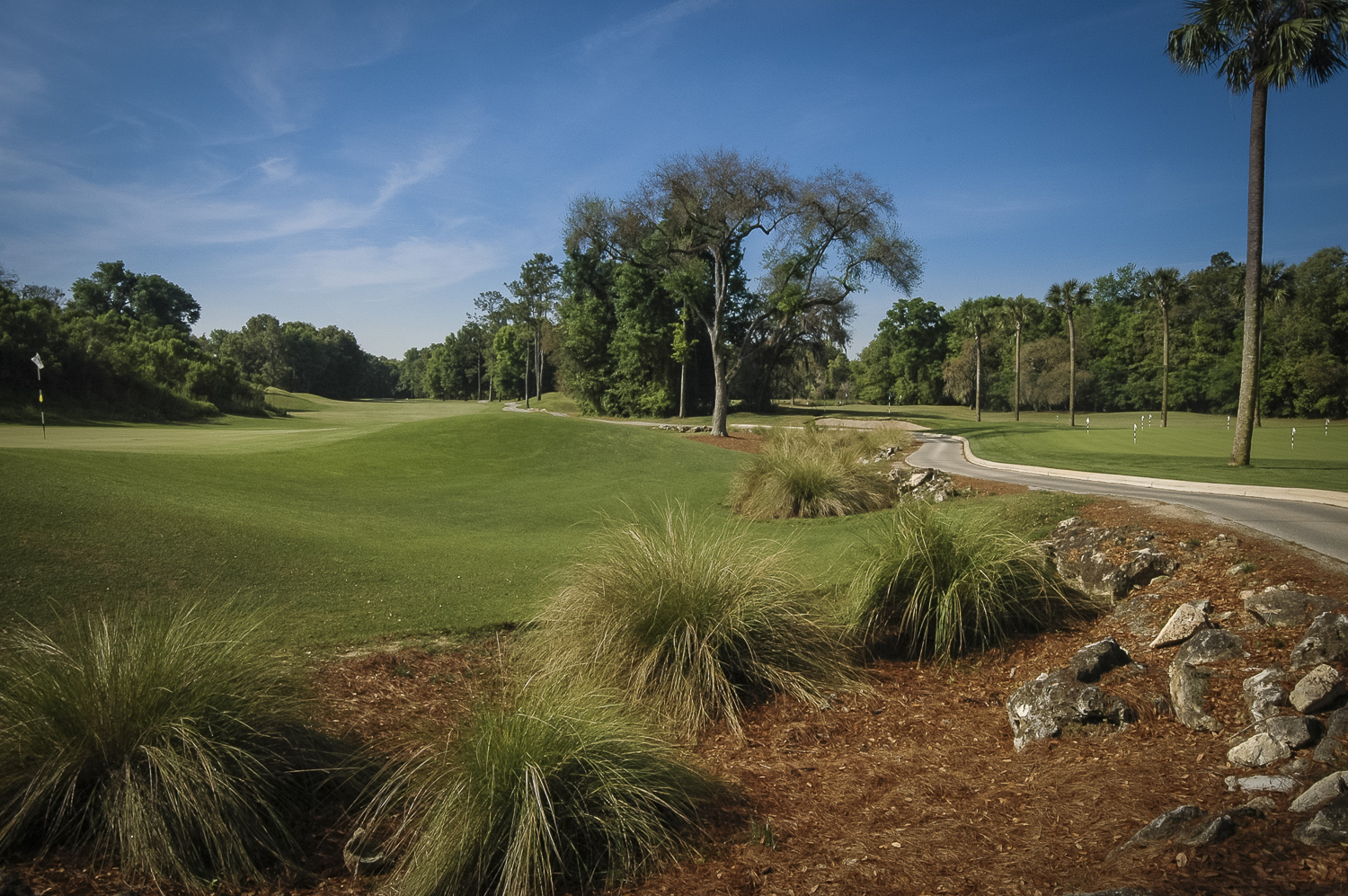 Hawkstone Golf & Country Club in Haile Plantation, Gainesville, Florida