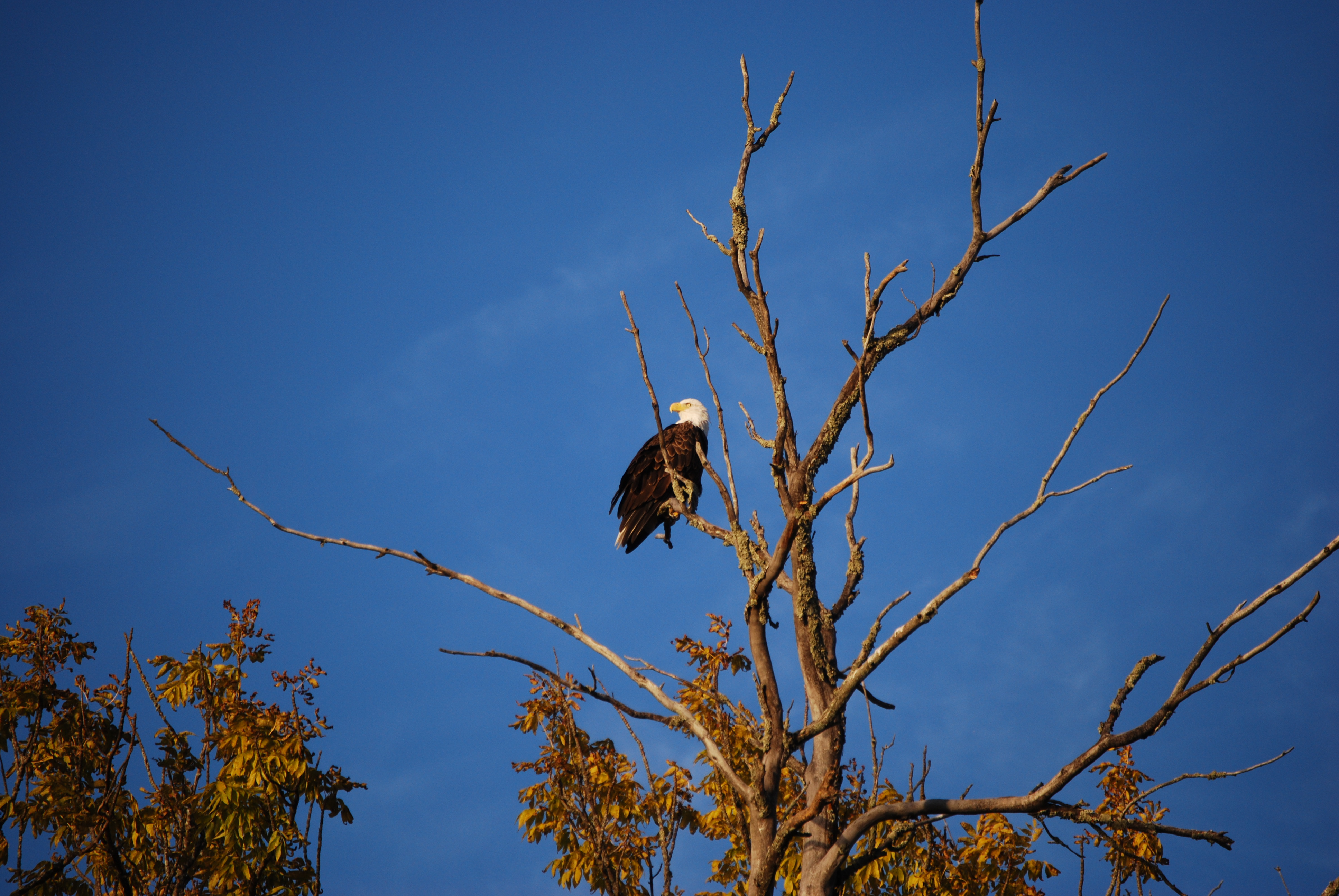 Hill Lake Real Estate Hill Lake Homes for Sale