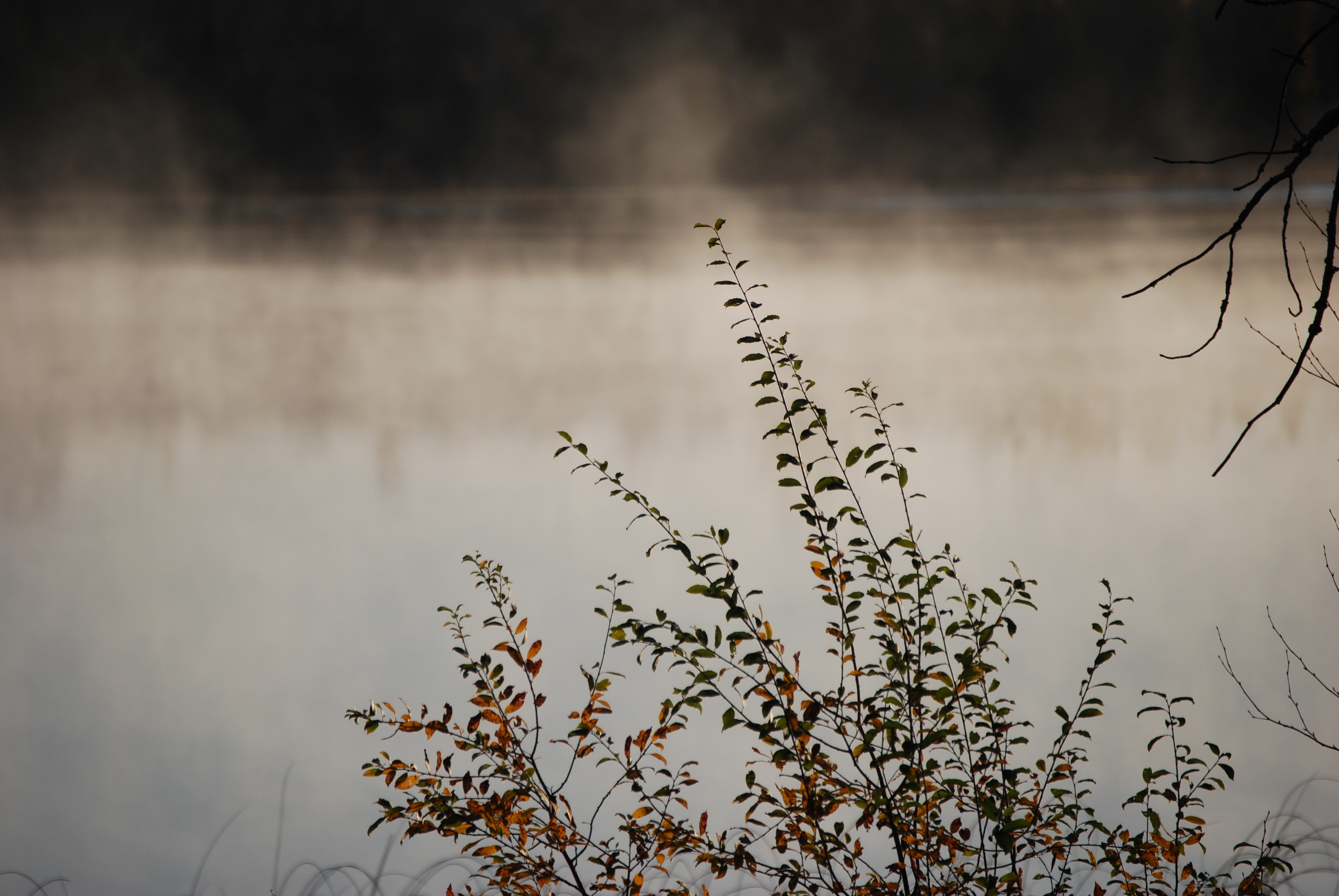 Little Jay Gould Lake Real Estate Little Jay Gould Lake Homes for Sale