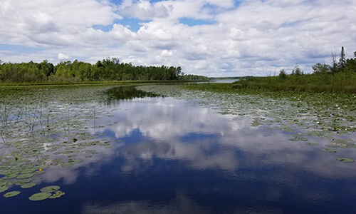Lake Lots