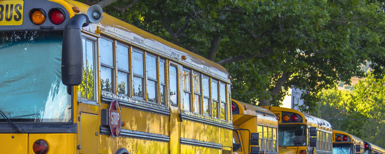 School Bus, Calgary Alberta