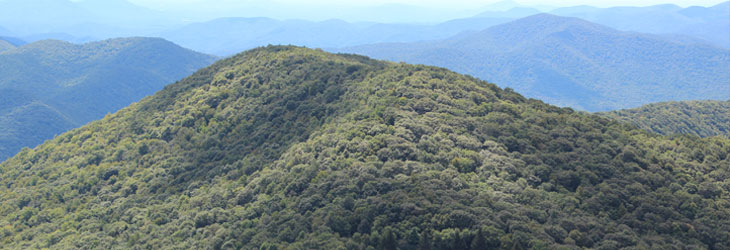 Nature in Blairsville GA