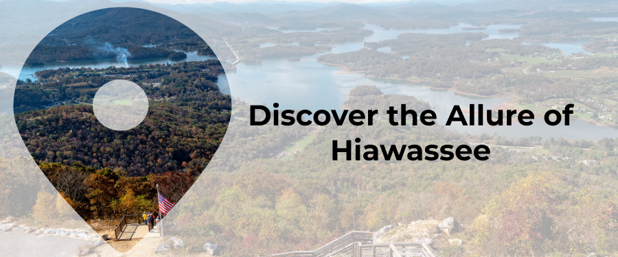 living in hiawassee ga