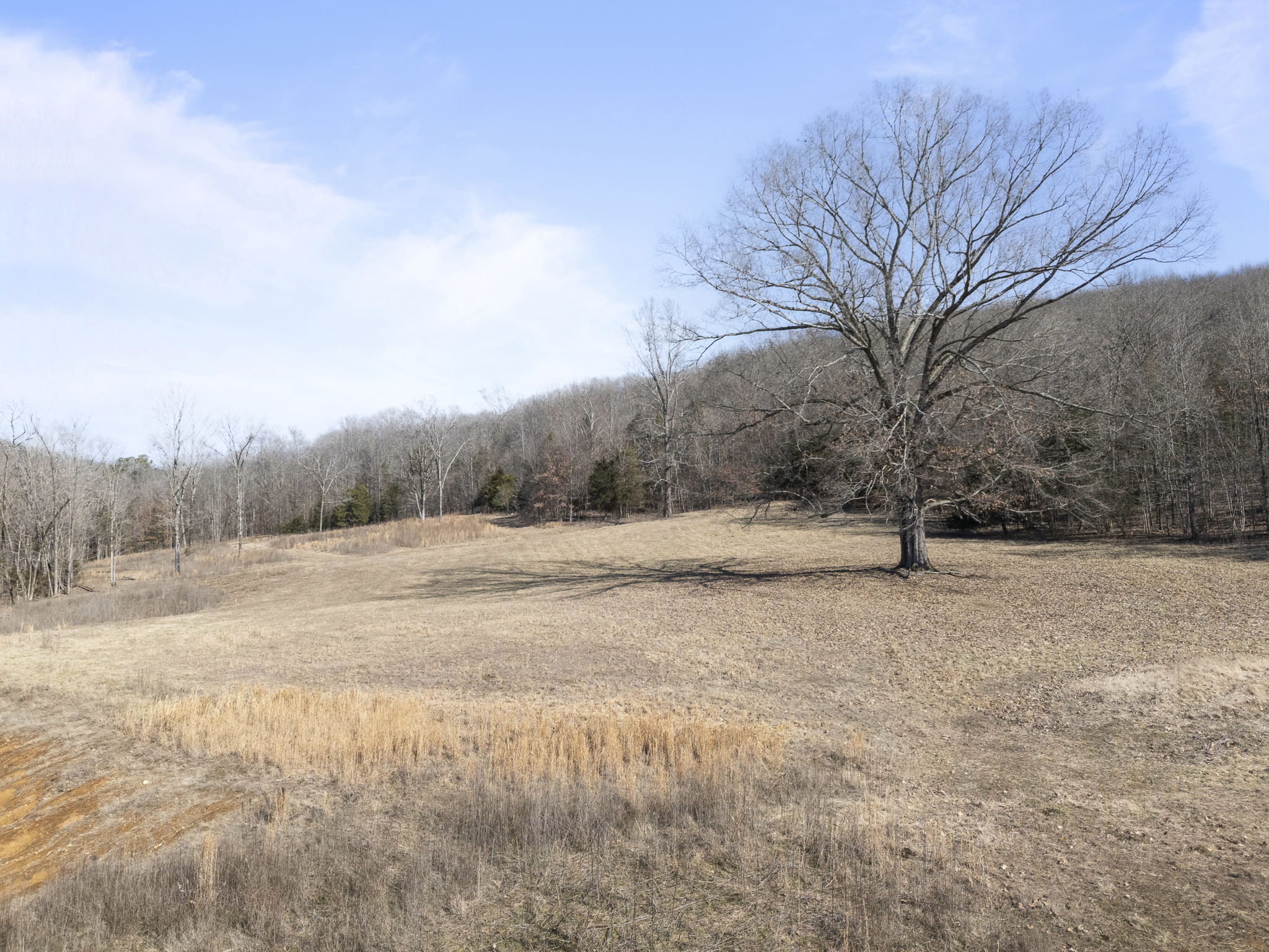 Potential Homesite Area