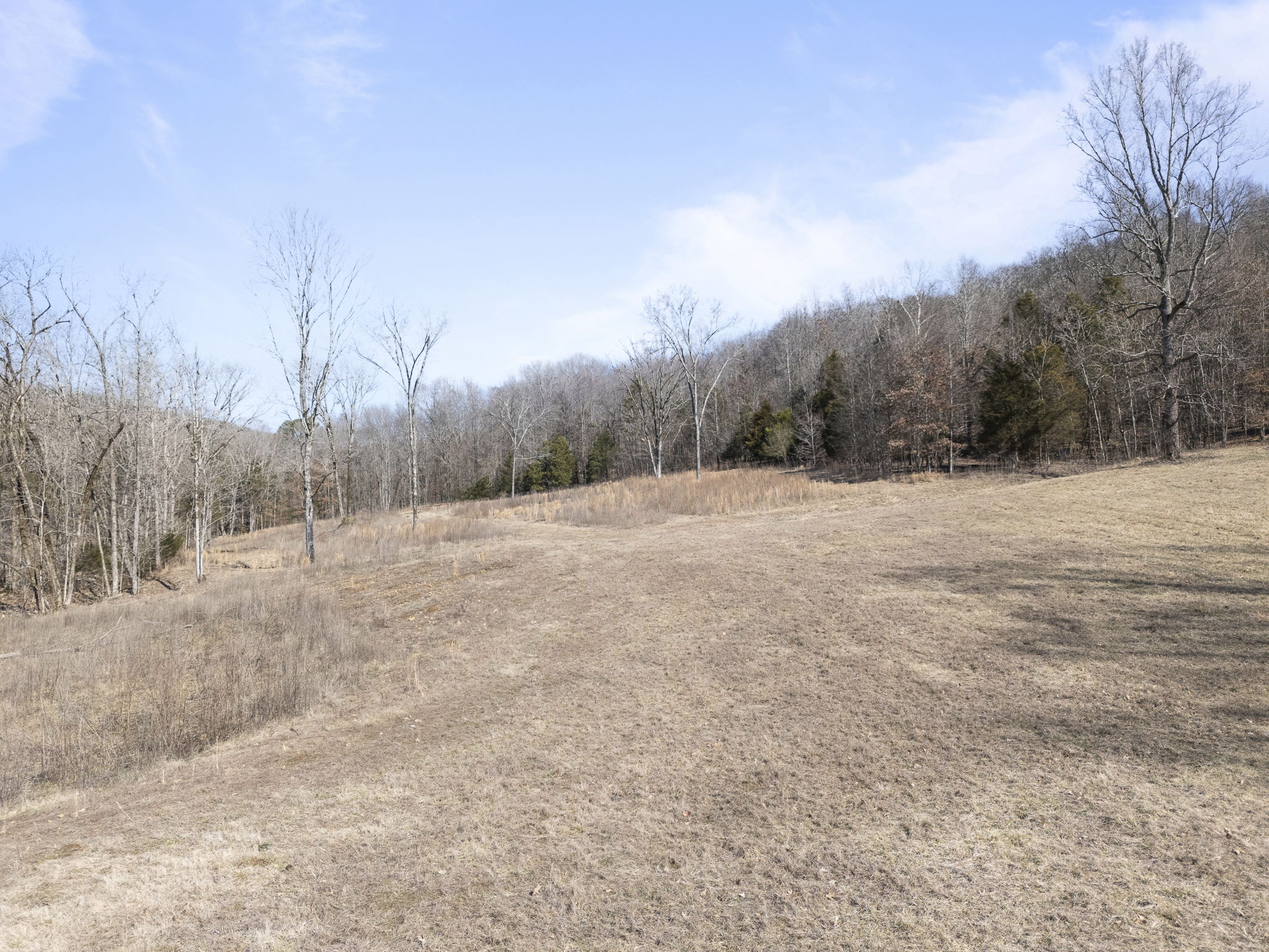 Ground level view of homesite area