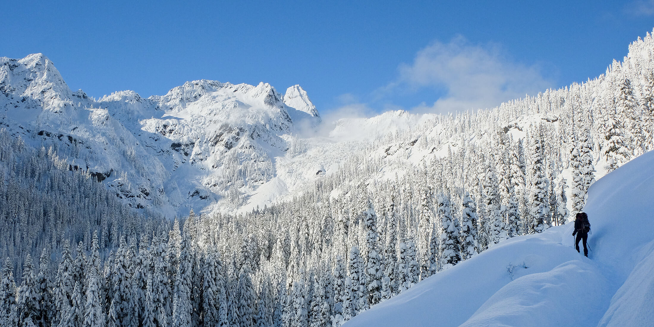 Kirkland Real Estate Kirkland Homes and Condos for Sale