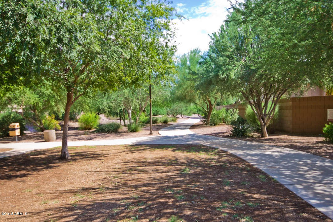 Cooper Commons Chandler Arizona Cap Core Real Estate