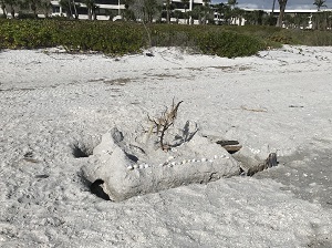 Sandcastle on Sanibel Island