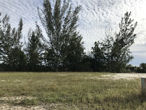 Looking south at 1920 NW 14th Ter