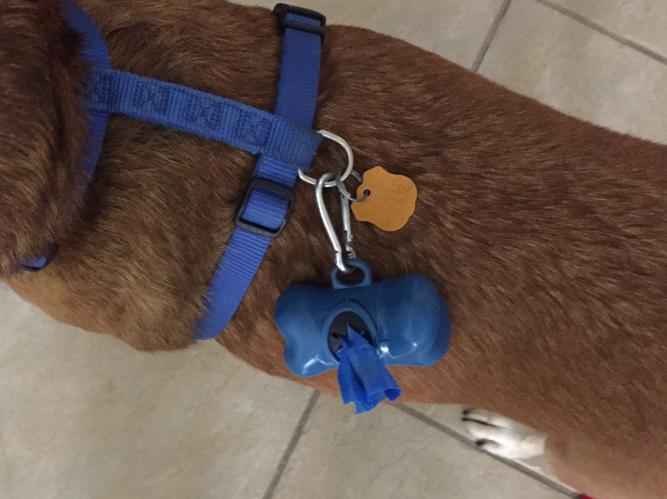 Pet waste bag holder and Lee Co license