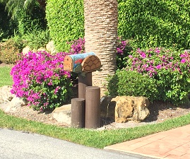 Southwest Cape mailbox
