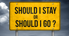 Stay or go.png