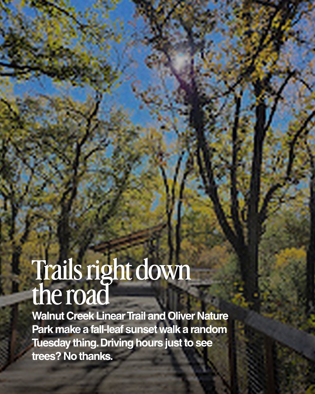 Wooden boardwalk trail under fall trees with the words Trails right down the road