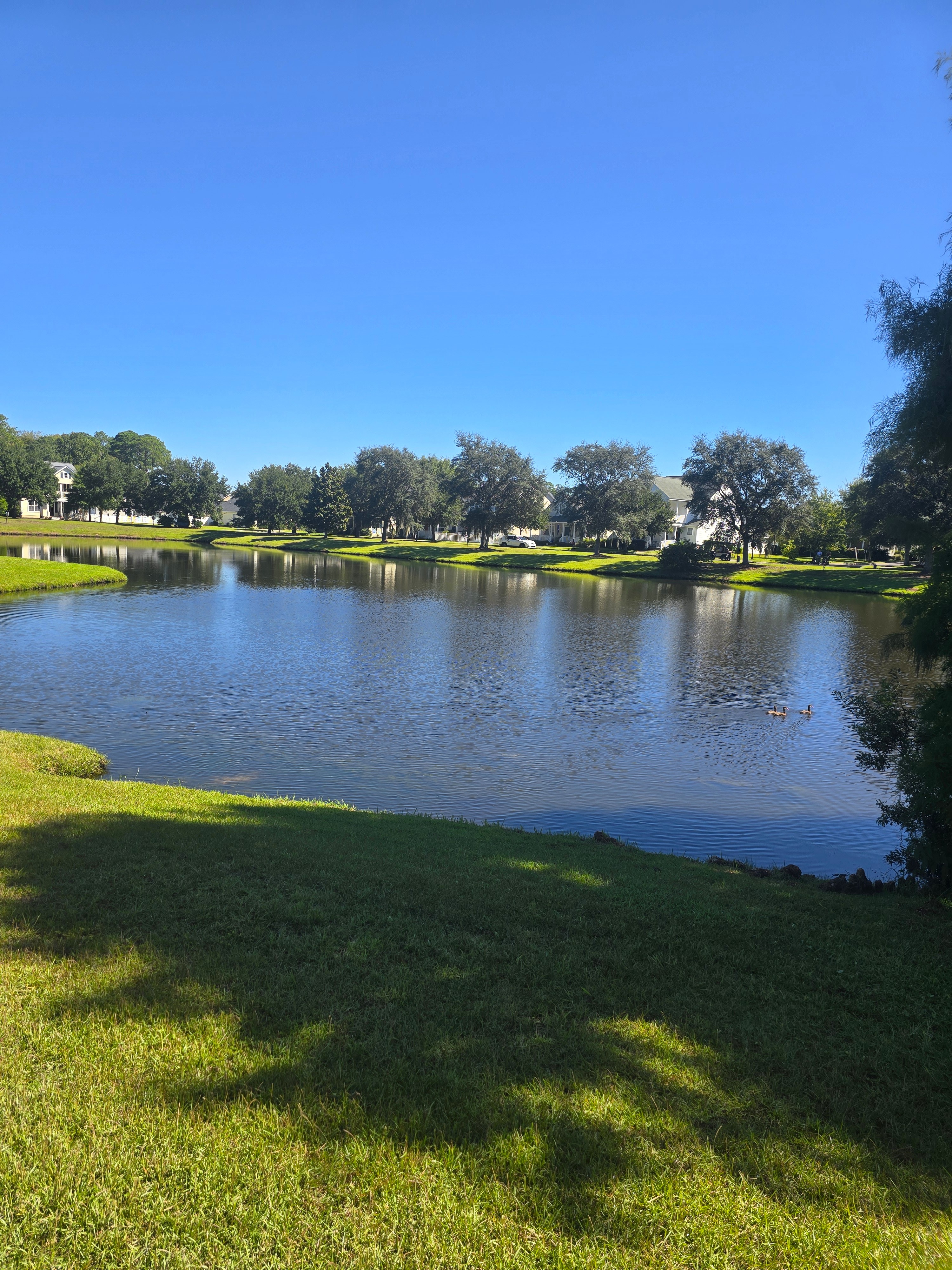Lagoon with ducks in the Bluffton Park neighborhood in Old Town Bluffton SC