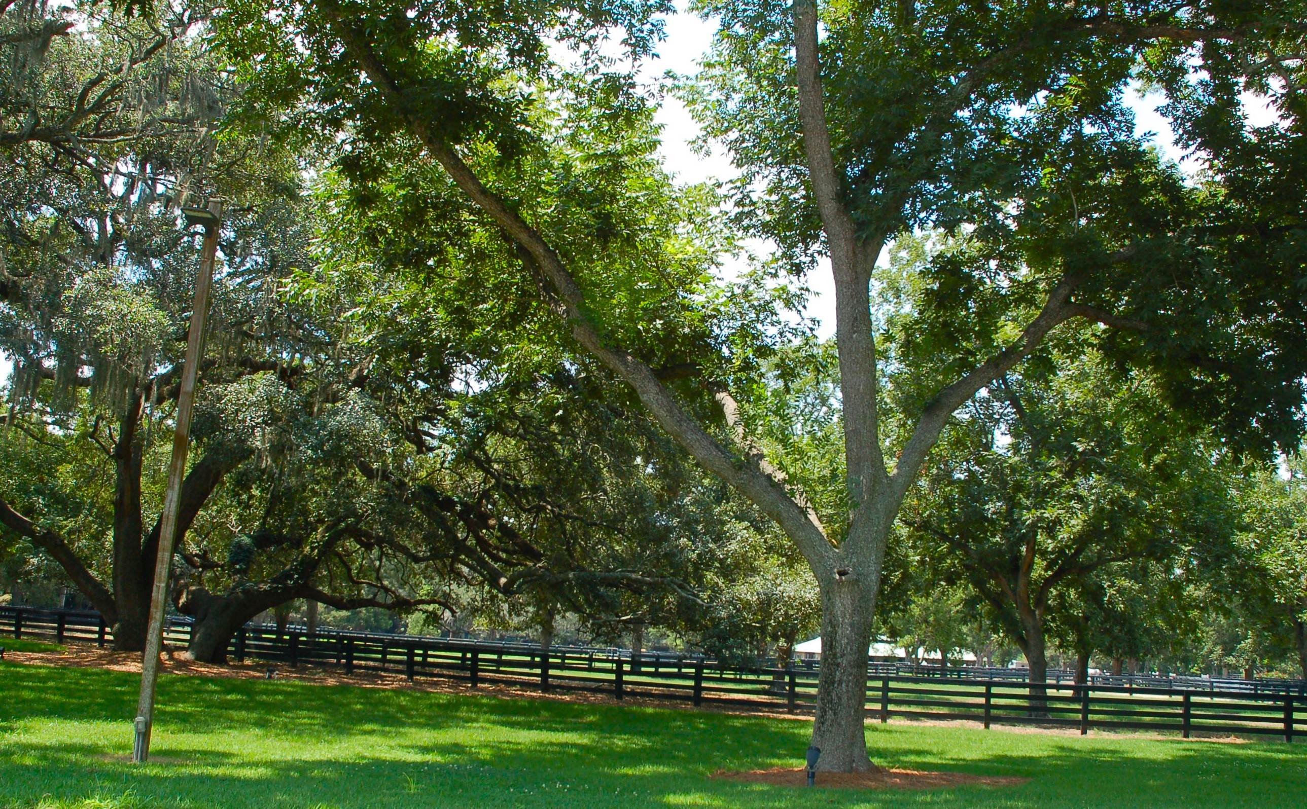 Equestrian stables and riding center at Moss Creek, Hilton Head Island area SC