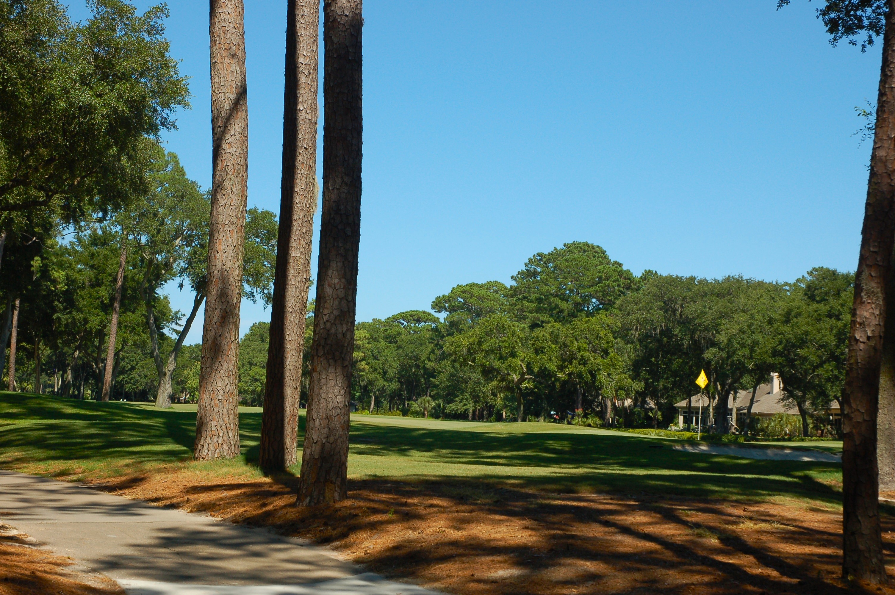 Play on the Golden Bear course at Indigo Run Hilton Head Island