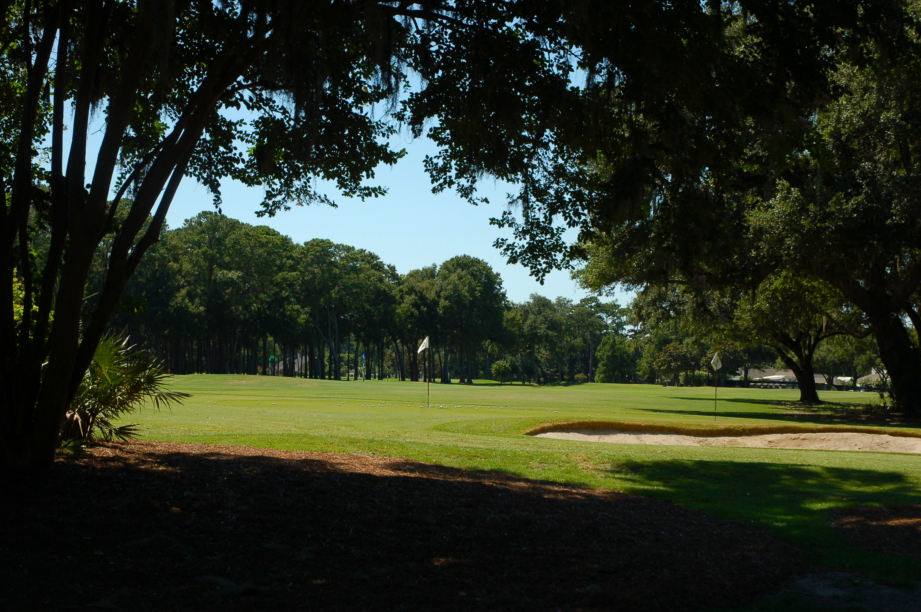 Golf play at the Golf Club of Indigo Run Hilton Head Island SC