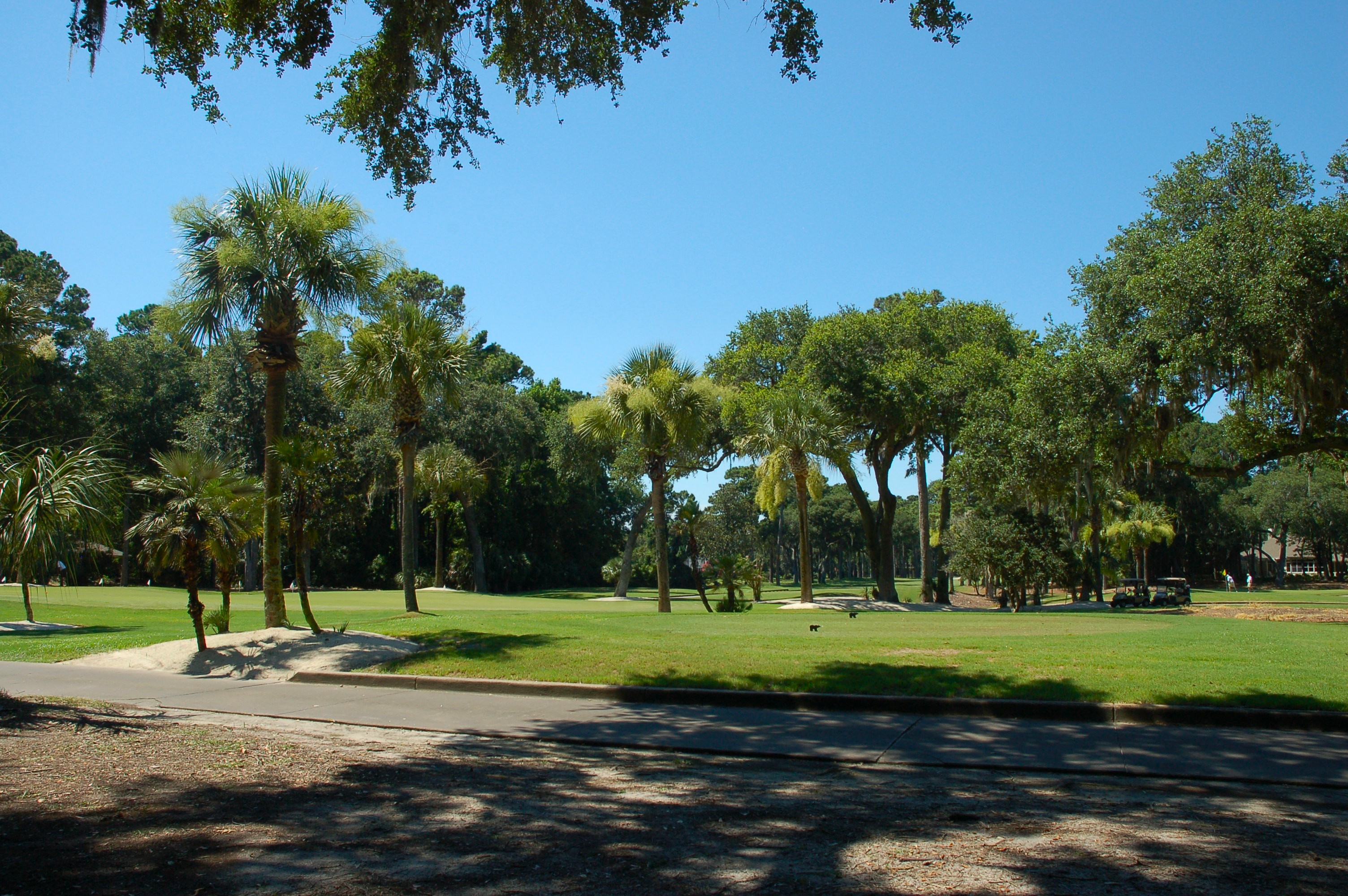 Golfers on the Golden Bear course at Indigo Run, Hilton Head Island SC