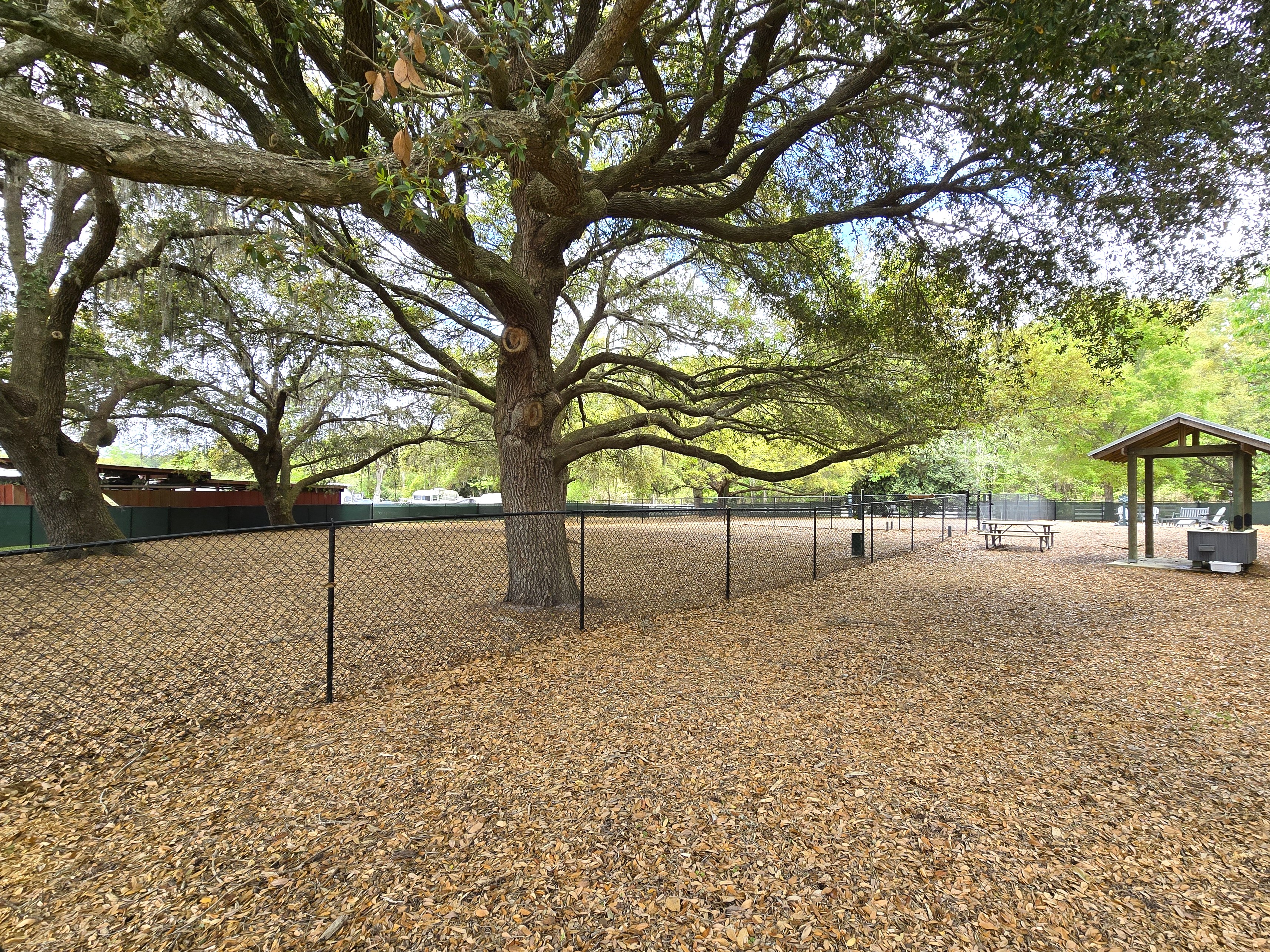 Dog park in Oldfield Bluffton South Carolina