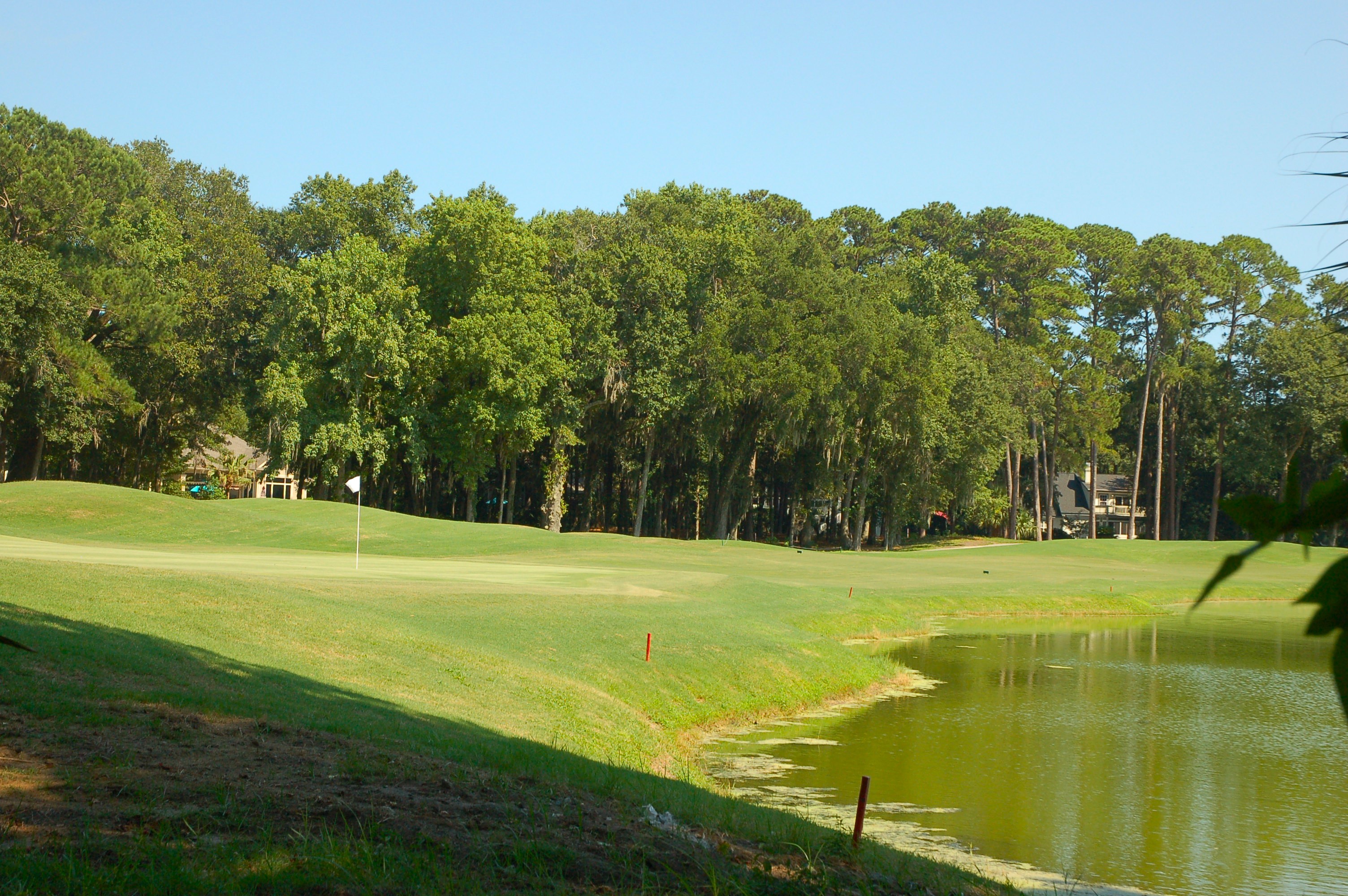 Arthur Hills Course at Palmetto Hall Plantation - golf hole with lagoon and shade trees, Hilton Head Island SC